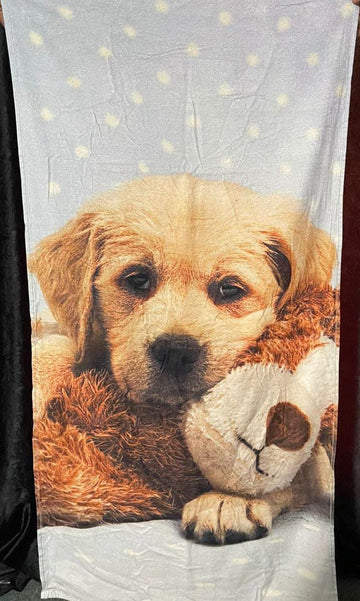 Cute Puppy